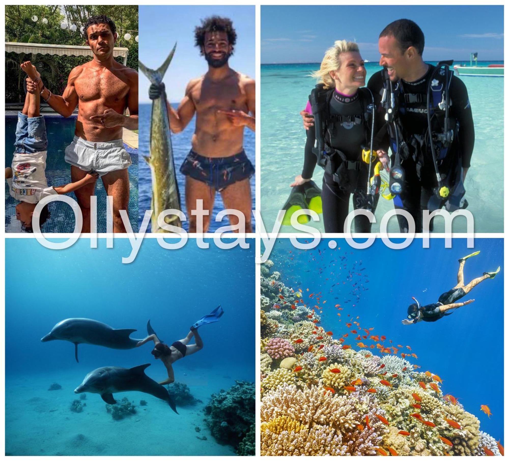 Ollystays Mangroovy Seaview 1Br Beach And Pool Free Access Gurdaka Kültér fotó