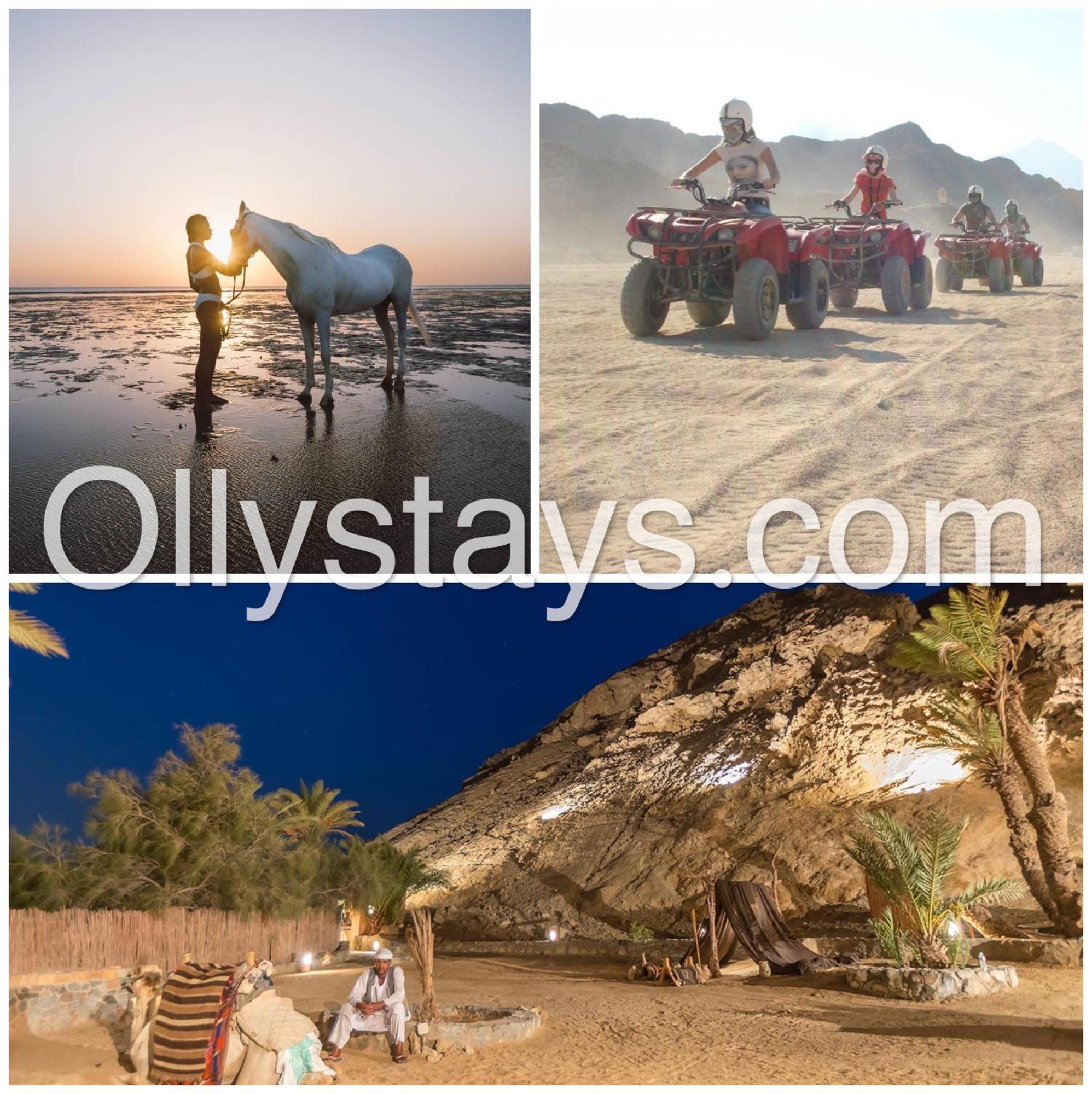 Ollystays Mangroovy Seaview 1Br Beach And Pool Free Access Gurdaka Kültér fotó